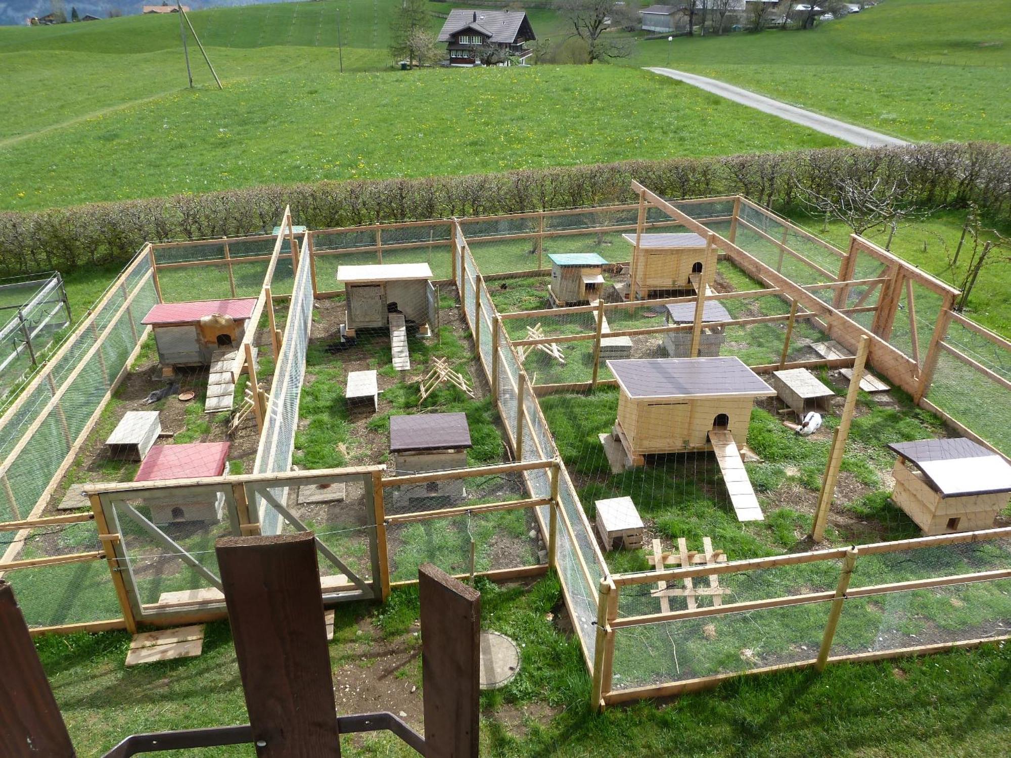 Hotel Restaurant Sunnmatt Aeschi Bei Spiez Eksteriør billede