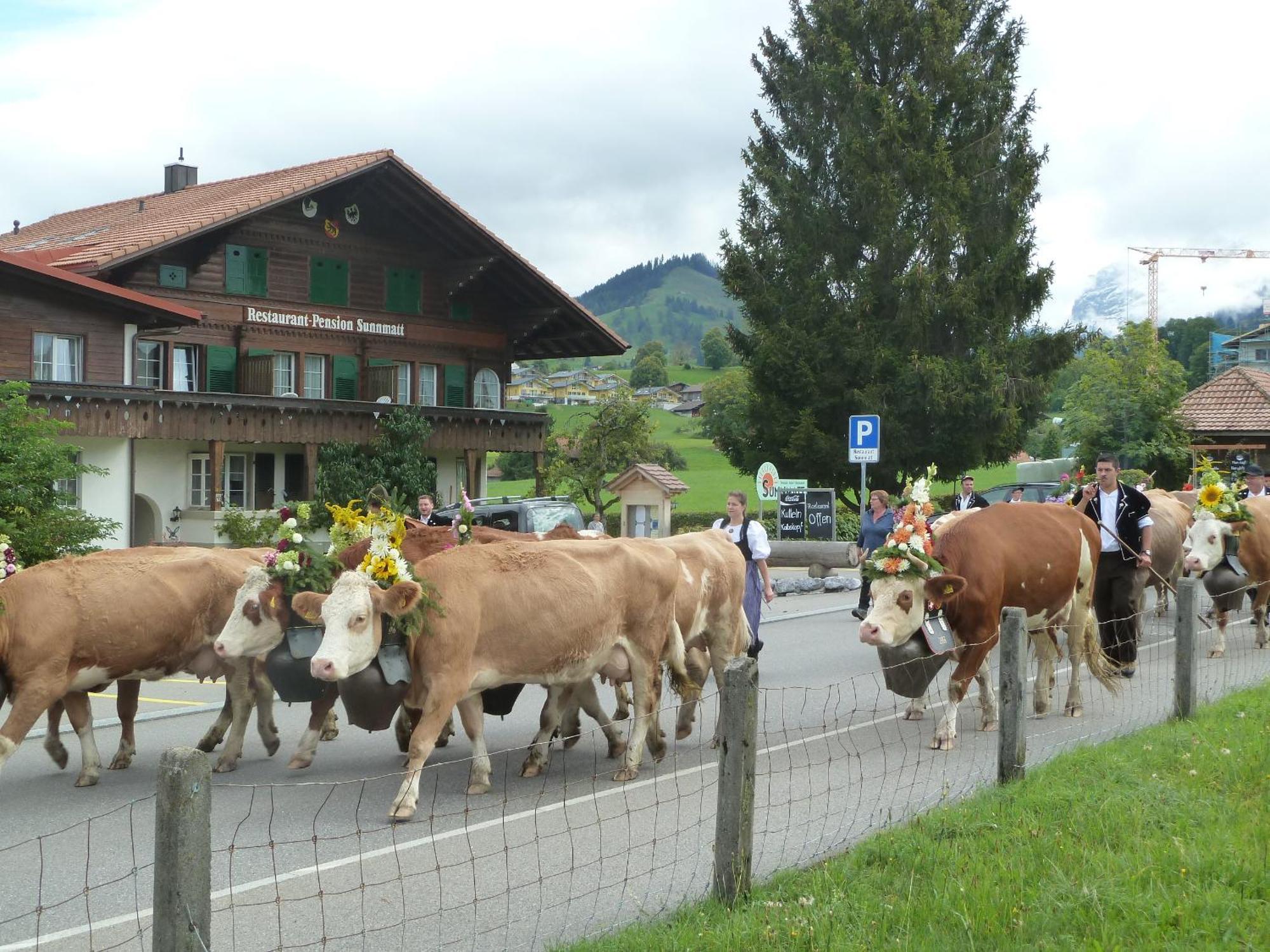 Hotel Restaurant Sunnmatt Aeschi Bei Spiez Eksteriør billede