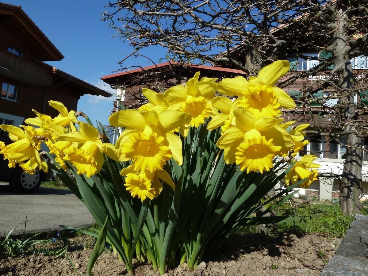 Hotel Restaurant Sunnmatt Aeschi Bei Spiez Eksteriør billede