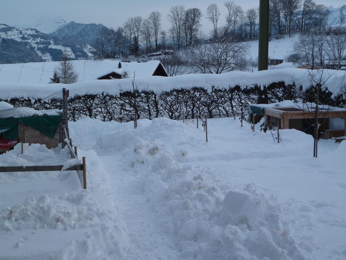 Hotel Restaurant Sunnmatt Aeschi Bei Spiez Eksteriør billede